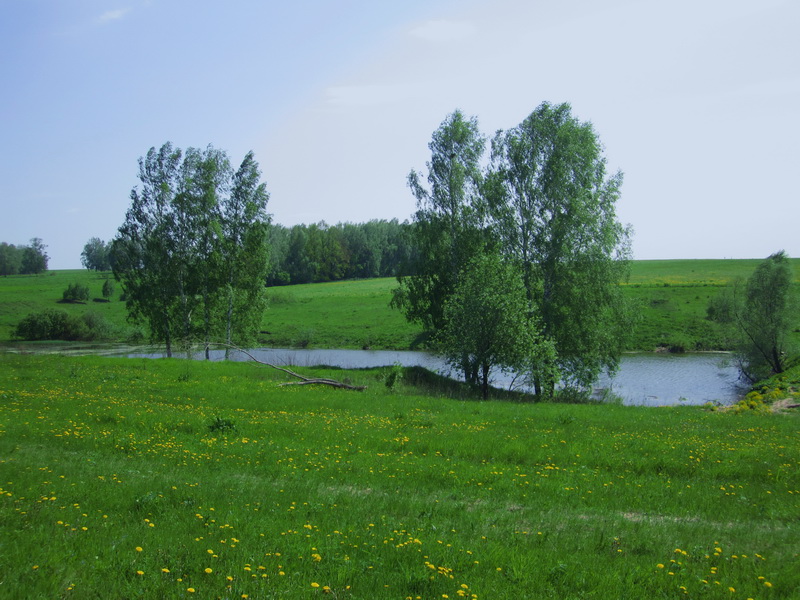 Земельные участки в деревне Шеверняево